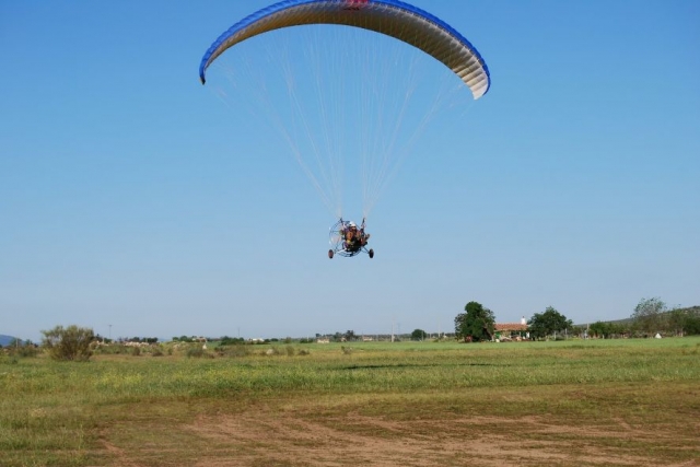 Una experiencia alucinante